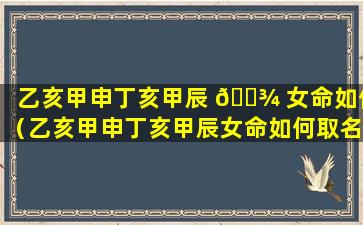 乙亥甲申丁亥甲辰 🌾 女命如何（乙亥甲申丁亥甲辰女命如何取名）